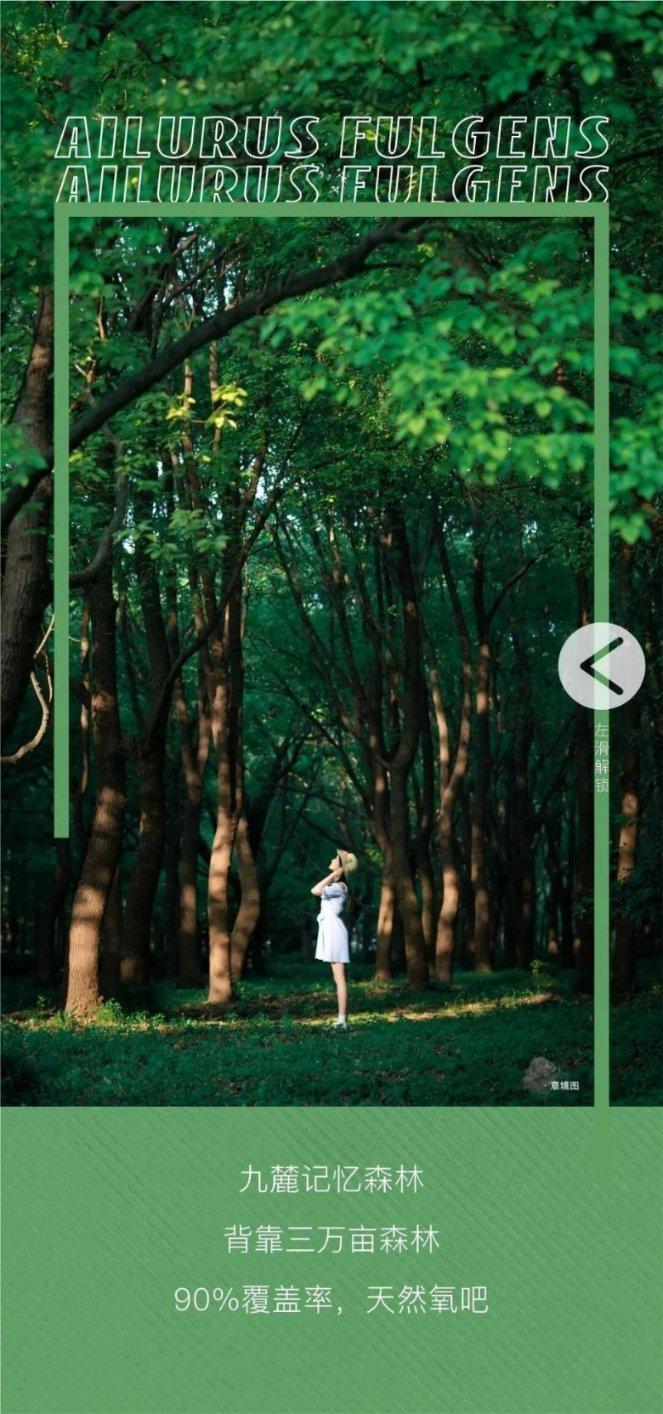 浇花的漂亮女孩